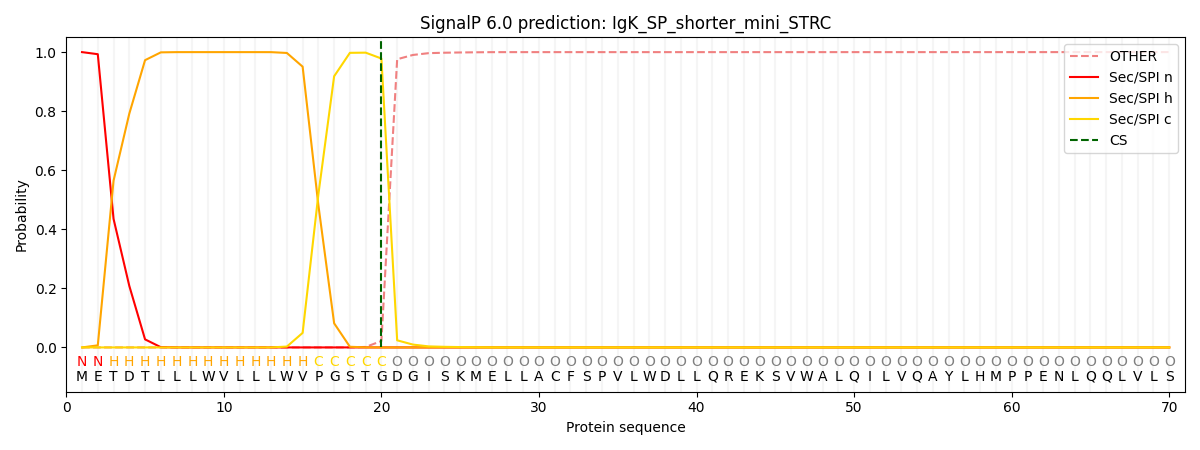 SignalP 6.0 prediction for IgK-SP + shorter mini-STRC showing 99.97% SP probability and clean cleavage at position 20-21